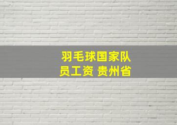 羽毛球国家队员工资 贵州省